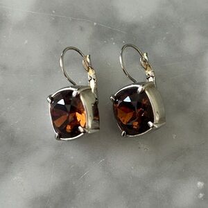 Chic Silver and Brown Crystal Earrings